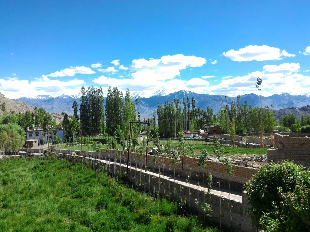 Heschuk Guest House Leh Kültér fotó